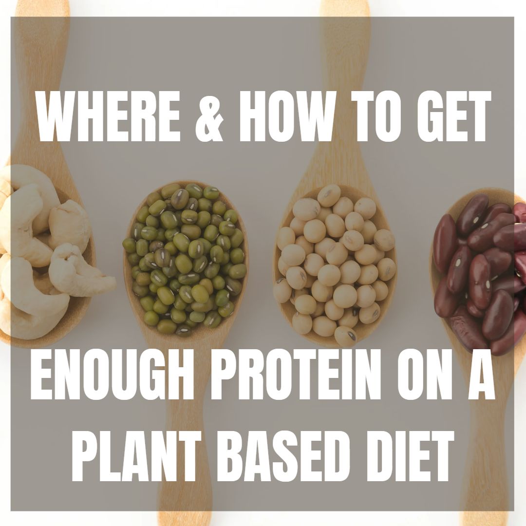 How to Get Enough Protein on a Plant Based Diet