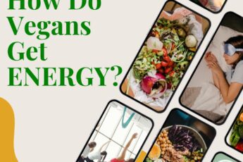 How Do Vegans Get Energy to Power Their Day?