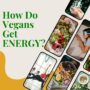 How Do Vegans Get Energy to Power Their Day?