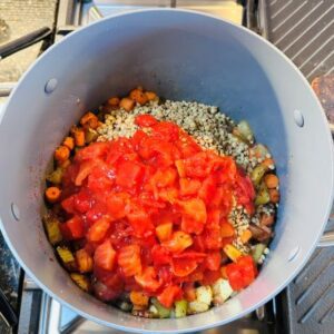 Add Lentils, Diced Tomatoes, and Vegetable Broth and Simmer for About 2 Hours