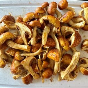 Clean & Chop Chestnut Mushrooms (or Baby Bella)