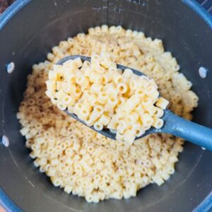 Separately Prepare Ditalini Noodles and Set Aside