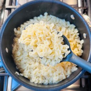 Separately Prepare Pasta and Set Aside